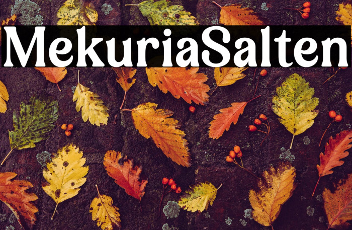 Mekuria Salten Example 1