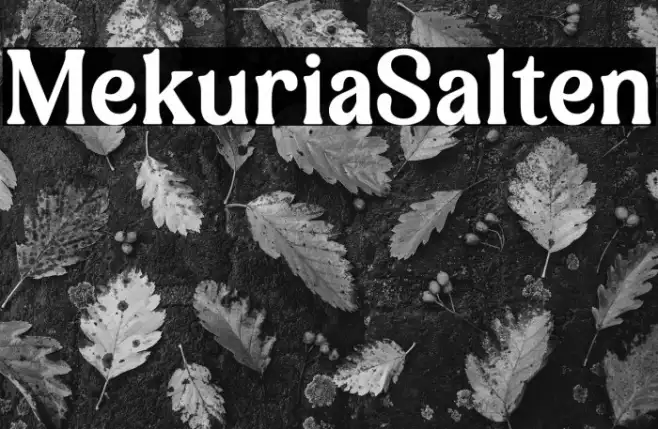 Mekuria Salten Example 1