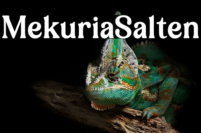 Mekuria Salten Example 2