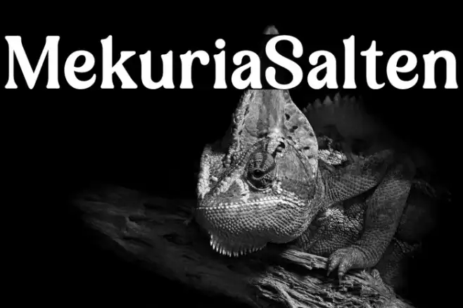 Mekuria Salten Example 2