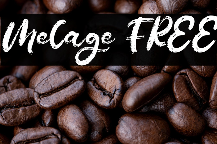 Melage FREE Example 1