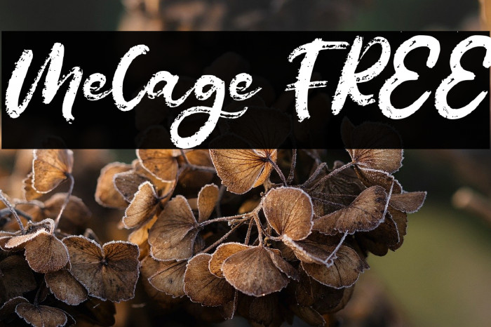 Melage FREE Example 3