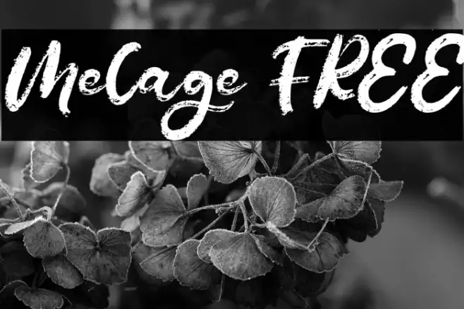 Melage FREE Example 3