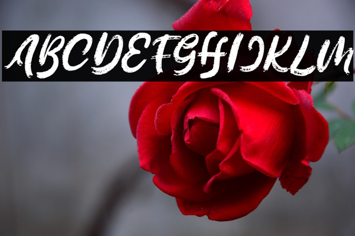 MelageFREE Example 2