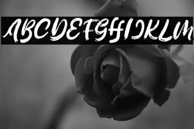 MelageFREE Font examples