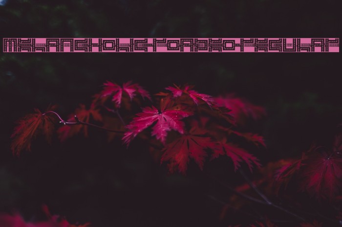 Melancholic Roadeo Regular Font examples