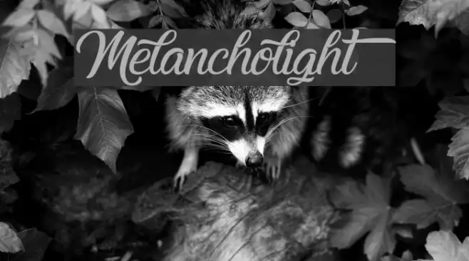 Melancholight Example 1