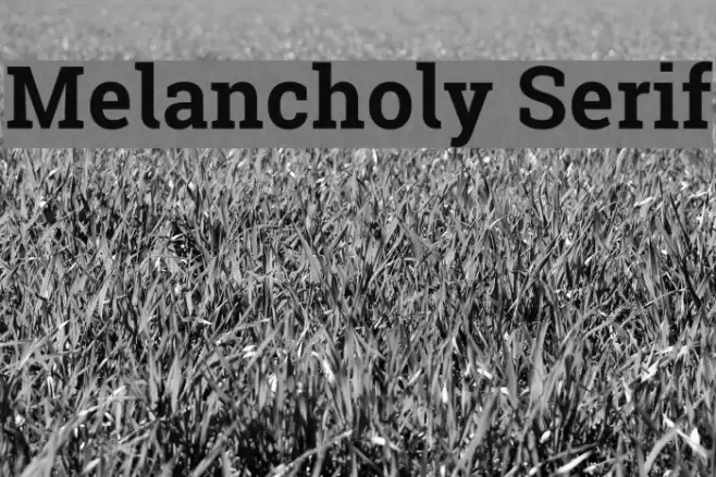 Melancholy Serif Font examples