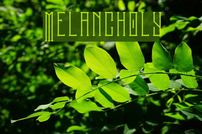 Melancholy Example 1