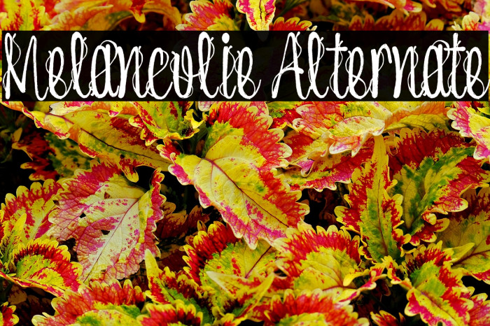 Melancolie Alternate Example 3