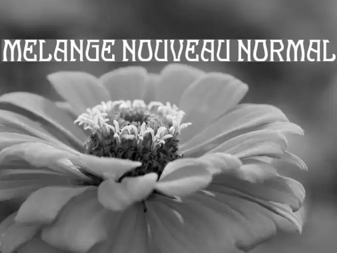 Melange Nouveau Normal Font examples