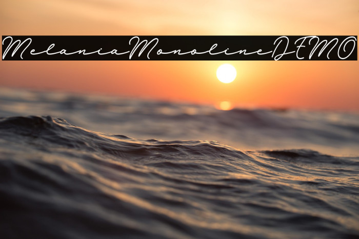 MelaniaMonolineDEMO Example 1