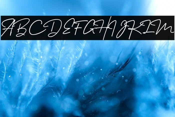 Melanic Black Script Regular Example 1