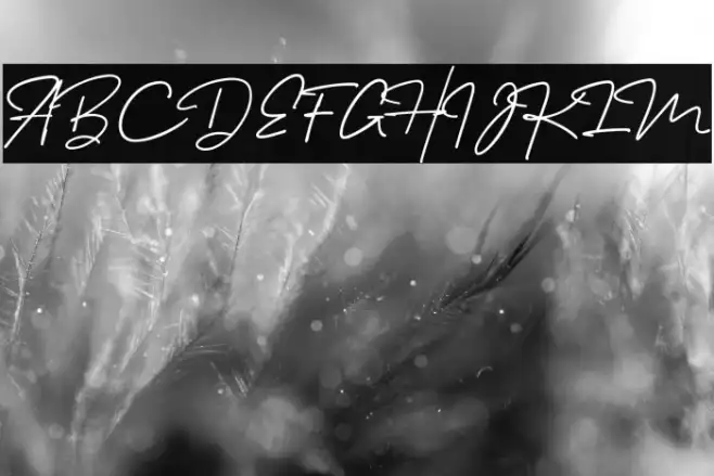 Melanic Black Script Regular Example 1