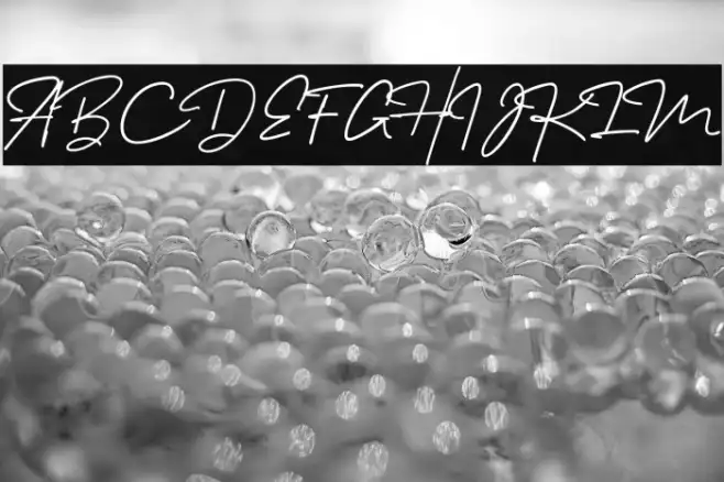 Melanic Black Script Regular Example 2
