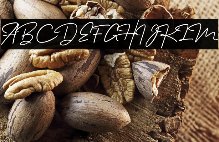 Melanic Black Script Regular Example 3