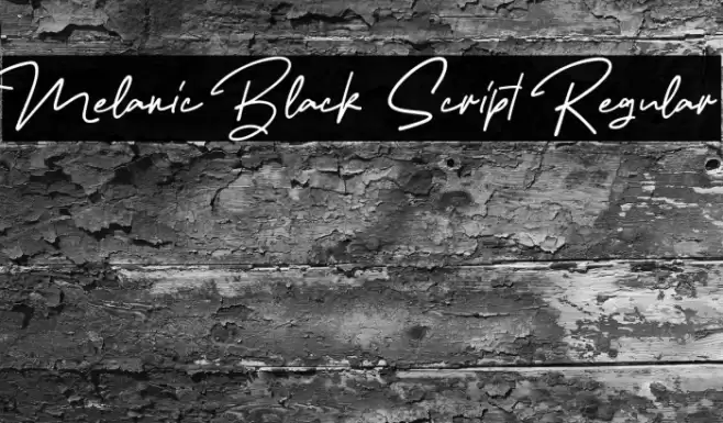 Melanic Black Script Regular Font examples