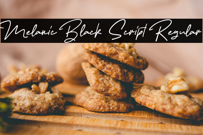 Melanic Black Script Regular Example 3