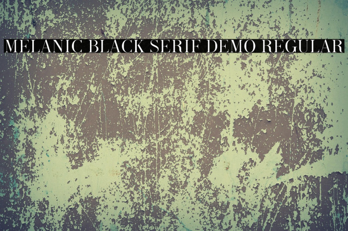 Melanic Black Serif Demo Regular Example 3