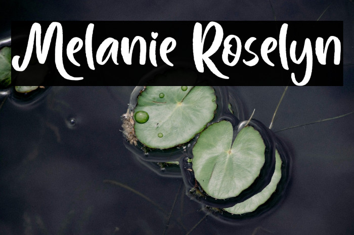 Melanie Roselyn Example 2