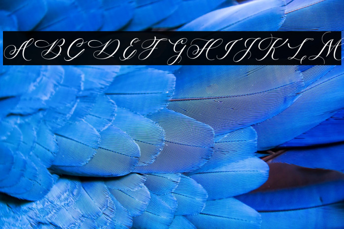 MelanieScriptFree-Medium Example 3