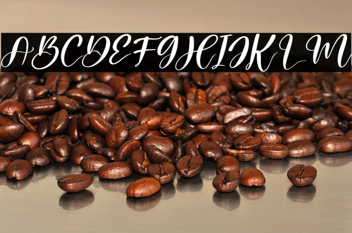 Melantic Beauty Italic Example 2