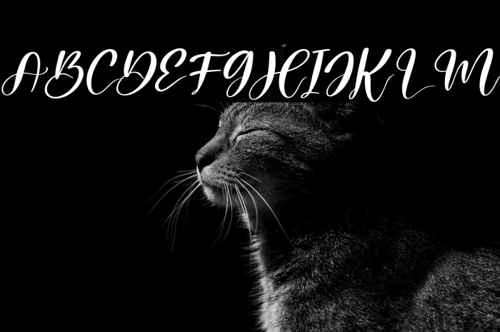 Melantic Beauty Italic Example 3