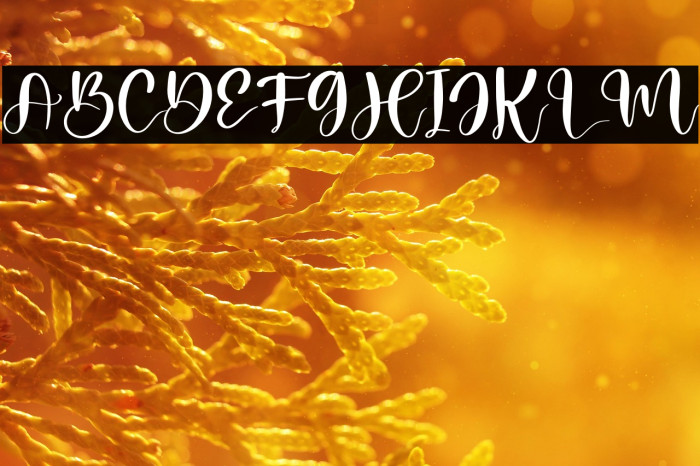 Melantic Beauty Example 1