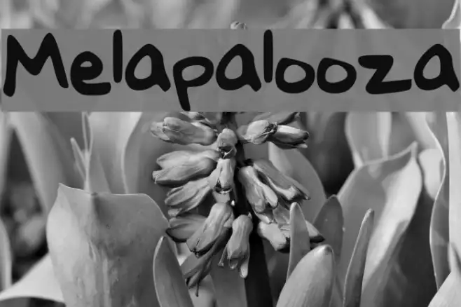 Melapalooza Example 3