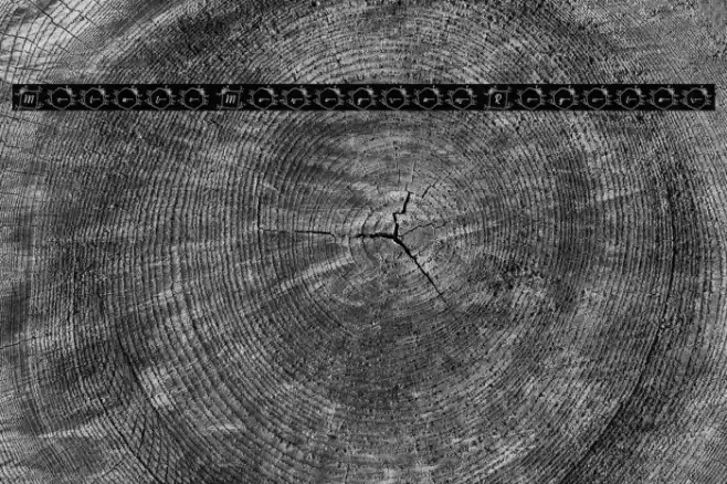 Melati Monogram Regular Font examples