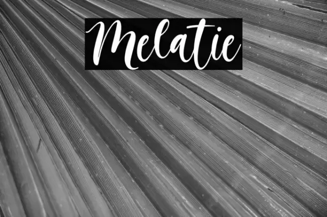 Melatie Font examples