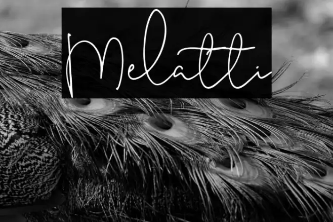 Melatti Example 3