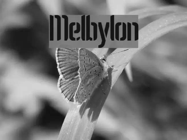 Melbylon Caratteri examples