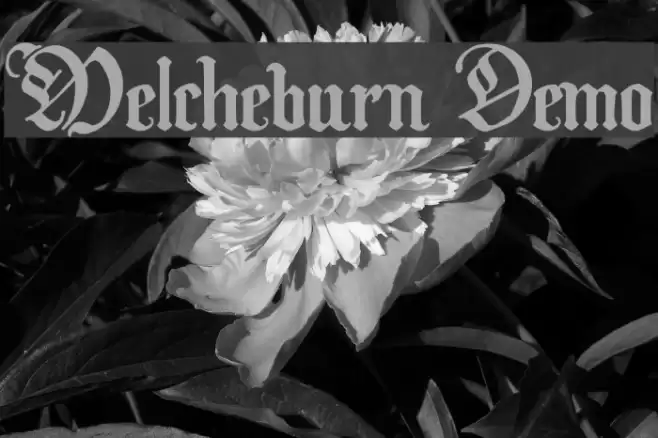 Melcheburn Demo Font examples