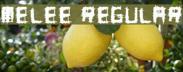 Melee Regular Font examples