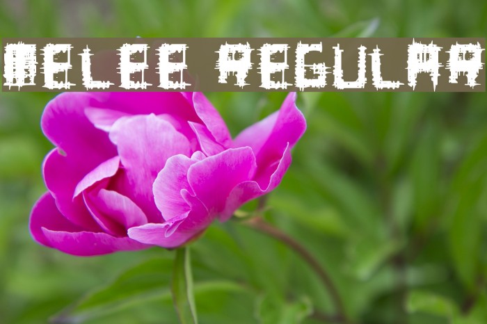 Melee Regular Font examples