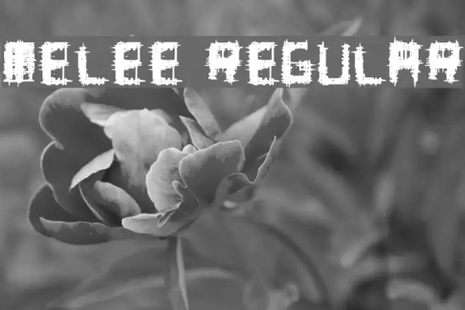 Melee Regular Example 3