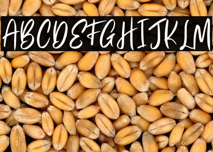 Melenias Personal Use Example 2