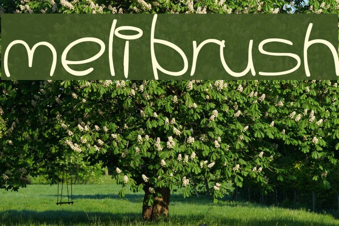 Meli Brush Font examples