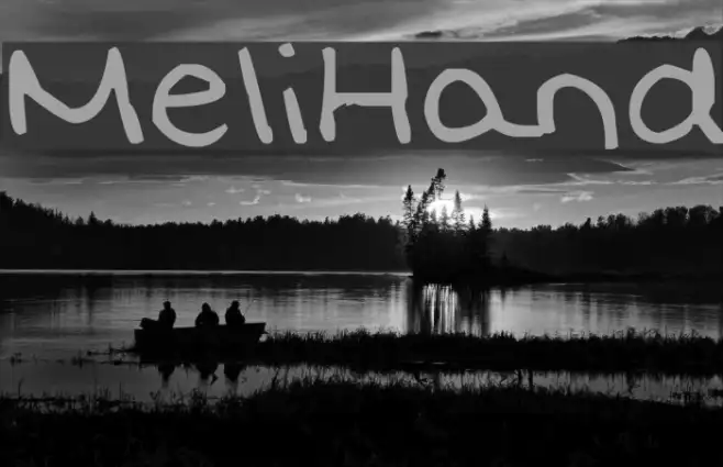 MeliHand Example 1