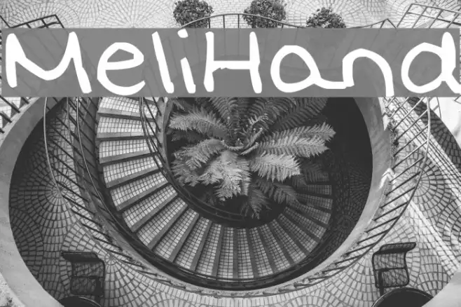 MeliHand Example 2