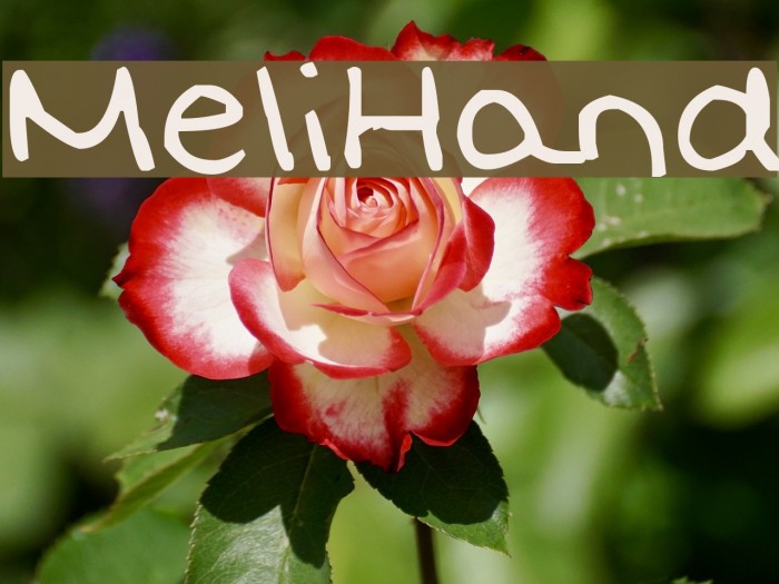 MeliHand Font examples