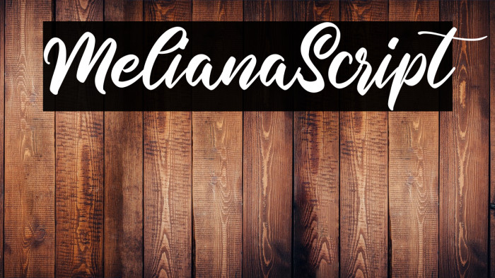 MelianaScript Example 1