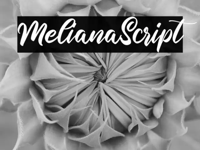 MelianaScript Font examples