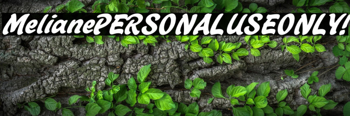 Meliane PERSONAL USE ONLY! Example 2