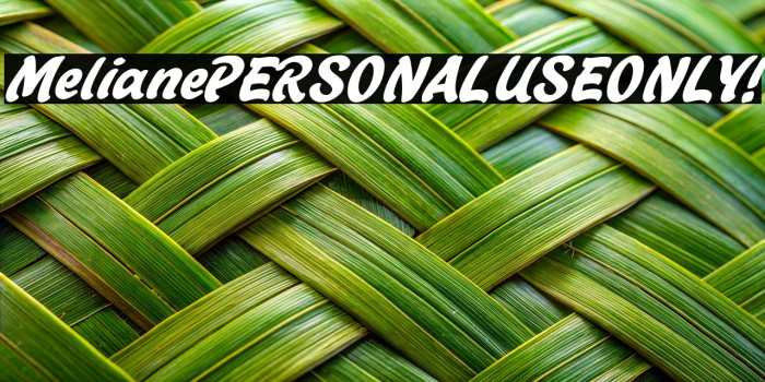 Meliane PERSONAL USE ONLY! Example 3