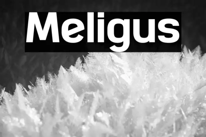 Meligus Example 1