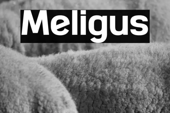 Meligus Example 2