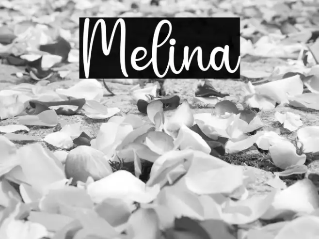 Melina Example 1