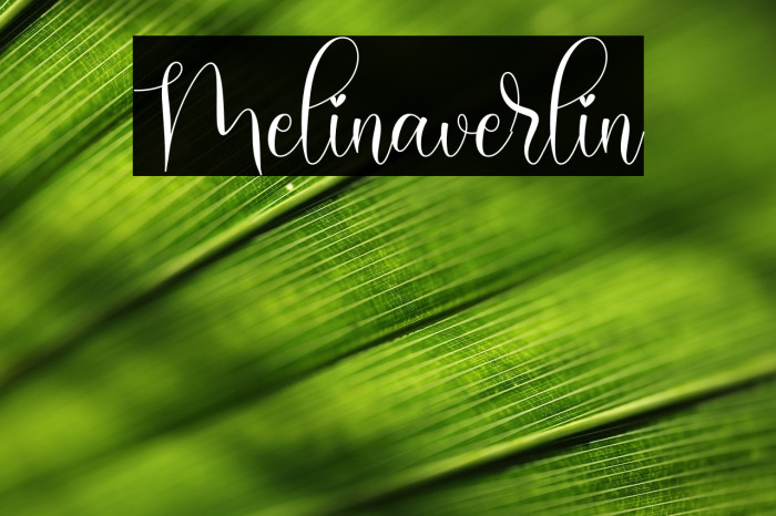 Melinaverlin Example 3